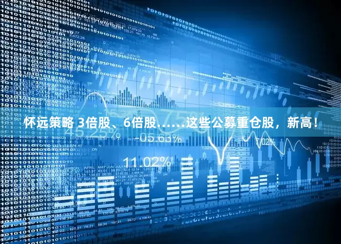怀远策略 3倍股、6倍股……这些公募重仓股，新高！
