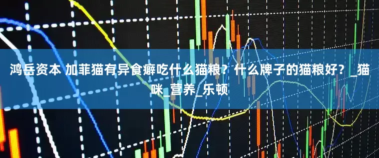 鸿岳资本 加菲猫有异食癖吃什么猫粮？什么牌子的猫粮好？_猫咪_营养_乐顿