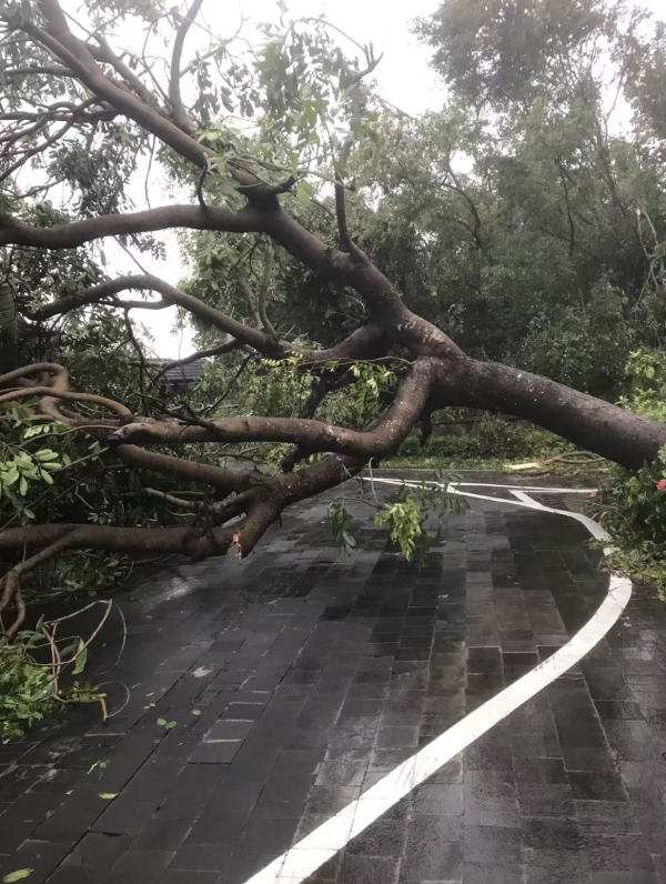 国荣配资 台风袭击海南：整栋楼都在晃动，不少人跑进地下车库